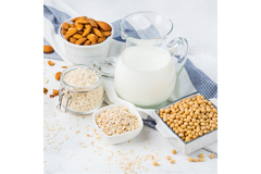 Image plant-based dairy products